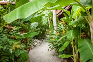 Authentic Khmer Village Resort