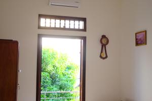 Moon house tropical garden - Coconut