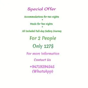 Green Sapphire Holiday Resort Wilpaththu - 卡尔皮蒂耶