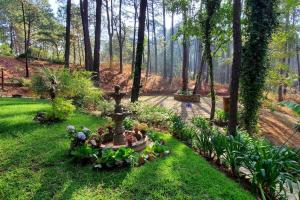 Cabaña rustica a 1km de cascada