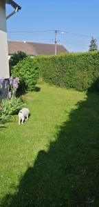 Sejours chez l'habitant Le jardin d'Eden : Chambre Double avec Salle de Bains Privative