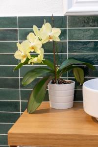 Taonasi Taormina City Apartment