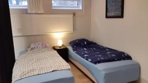 Spacious 110m2 2BR Basement Retreat, Jacuzzi, Table Tennis & Garden Access