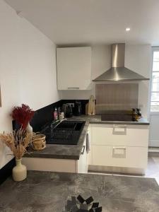 Le cocon des ducs, appartement centre historique