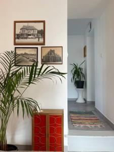 Appartements Le cocon des ducs, appartement centre historique : photos des chambres