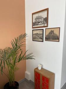 Appartements Le cocon des ducs, appartement centre historique : photos des chambres