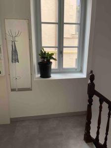 Appartements Le cocon des ducs, appartement centre historique : Appartement 1 Chambre