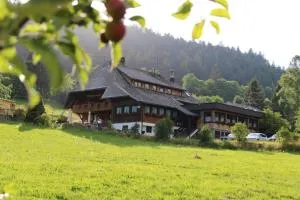 Das Schwarzwaldhotel - Prestenberg
