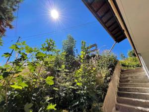 Chalets La Gallerie du Domaine des lupins : photos des chambres