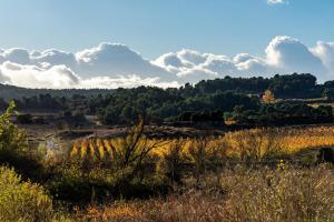 Maisons de vacances Gite de l'aramont Dans Le Minervois : photos des chambres