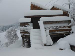 Chalets Le chalet du Domaine des Lupins : photos des chambres