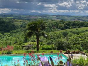 B&B / Chambres d'hotes BnB Ferme Beauregard Les Pyrenees : photos des chambres