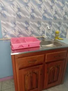 Logerthine Josy Suriname - Lelydorp