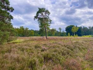 Knus huisje op kindvriendelijk park met zwembad