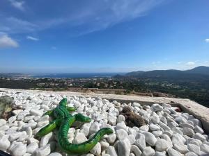 Appartements Vue Mer exceptionnelle au Grand Duc - Calme - Clim - garage : photos des chambres