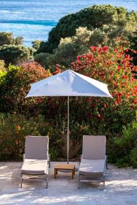 Hotels Les Terrasses du Bailli : photos des chambres