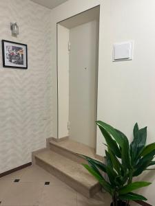 Apartment in historical district of Tbilisi