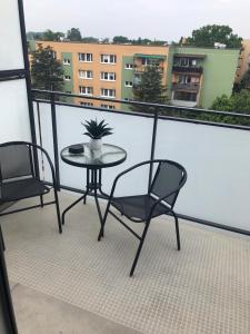 Apartament Pileckiego Nowy Dwór Mazowiecki Airport Modlin 24 H