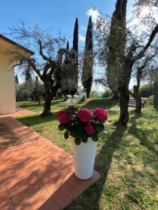 Villa Vagabondo