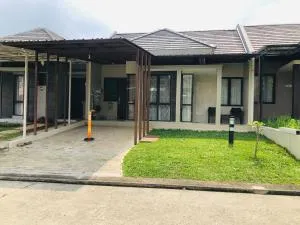 Womy Homy - Citaringgul 1