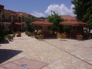 Zorbas Hotel Ilia Greece