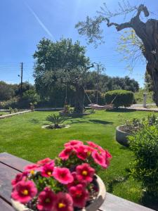 Ilias Apartments Dassia By Hotelius