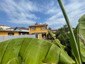 Maisons de vacances L'ambre salee : photos des chambres