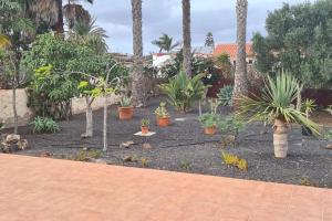 Doce Palmeras, stunning villa in beautiful gardens