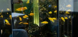 Hotels Hotel De L'univers : photos des chambres