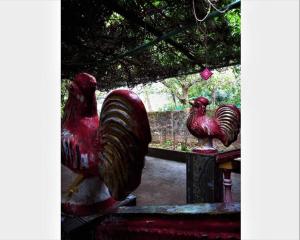 Cockerel Traditional Goan 2BHK Entire Home