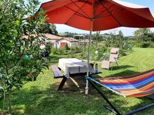 Burusenia - Hasparren