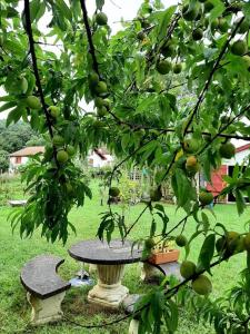 Maisons de vacances Burusenia : photos des chambres