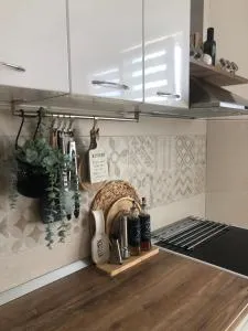 Family Apartment - Župa