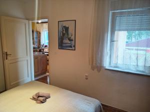 Apartment Luna