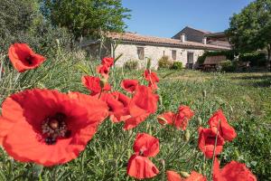 Maisons de vacances Gites du Lamalou : photos des chambres