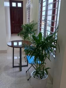 Homestay Quyết Thương