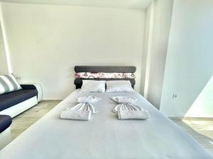 Bucanero Apartments Budva