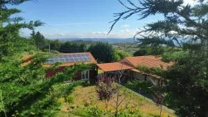 Quinta do Outono - Queimada