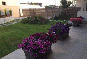 Lovely House by the Sea with Garden and BBQ (A)