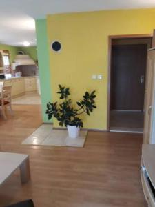 Apartments Hajdi