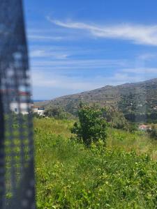 Palaiokrassa sunny appartment