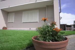 L'ANGOLO VERDE - 卡希纳