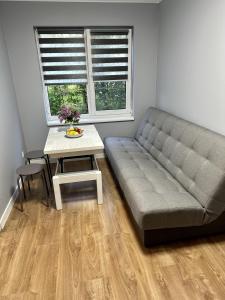 Carpathian Dream Apartments