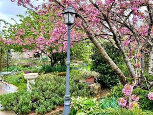 Appartements Garden Retreat Loire Riverside : photos des chambres