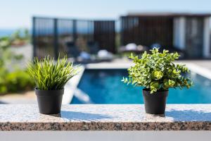 Villa Luna-Private Heated Pool and sauna