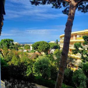 Grand studio localisation idéale