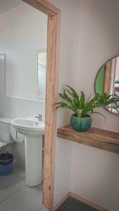 Compay Hostel La Pedrera