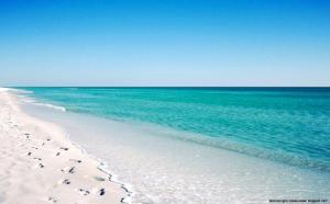 104 Surf Dweller by Alicia Hollis Realtor Rentals - Open March 23rd for 4 Nights