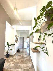 Satie City Apartment