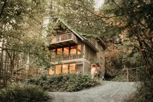 43SL - Hot Tub - Pets Ok - BBQ - WiFi cabin - 格雷西尔